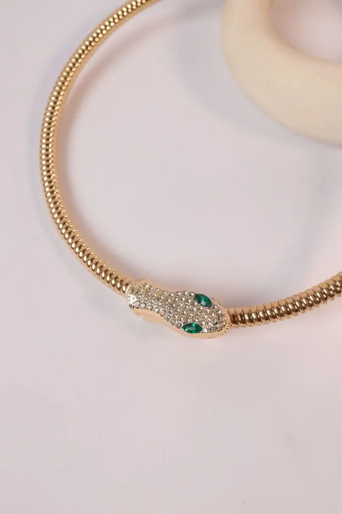 Snake magnet (Necklace)