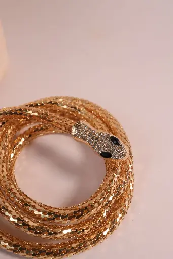 [Snake charm] Snake charm